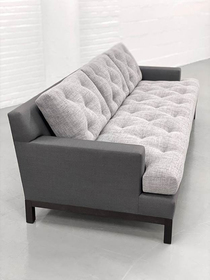 Sofa 2 colors-210-xxx